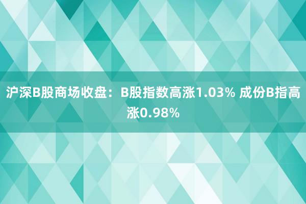 沪深B股商场收盘：B股指数高涨1.03% 成份B指高涨0.98%